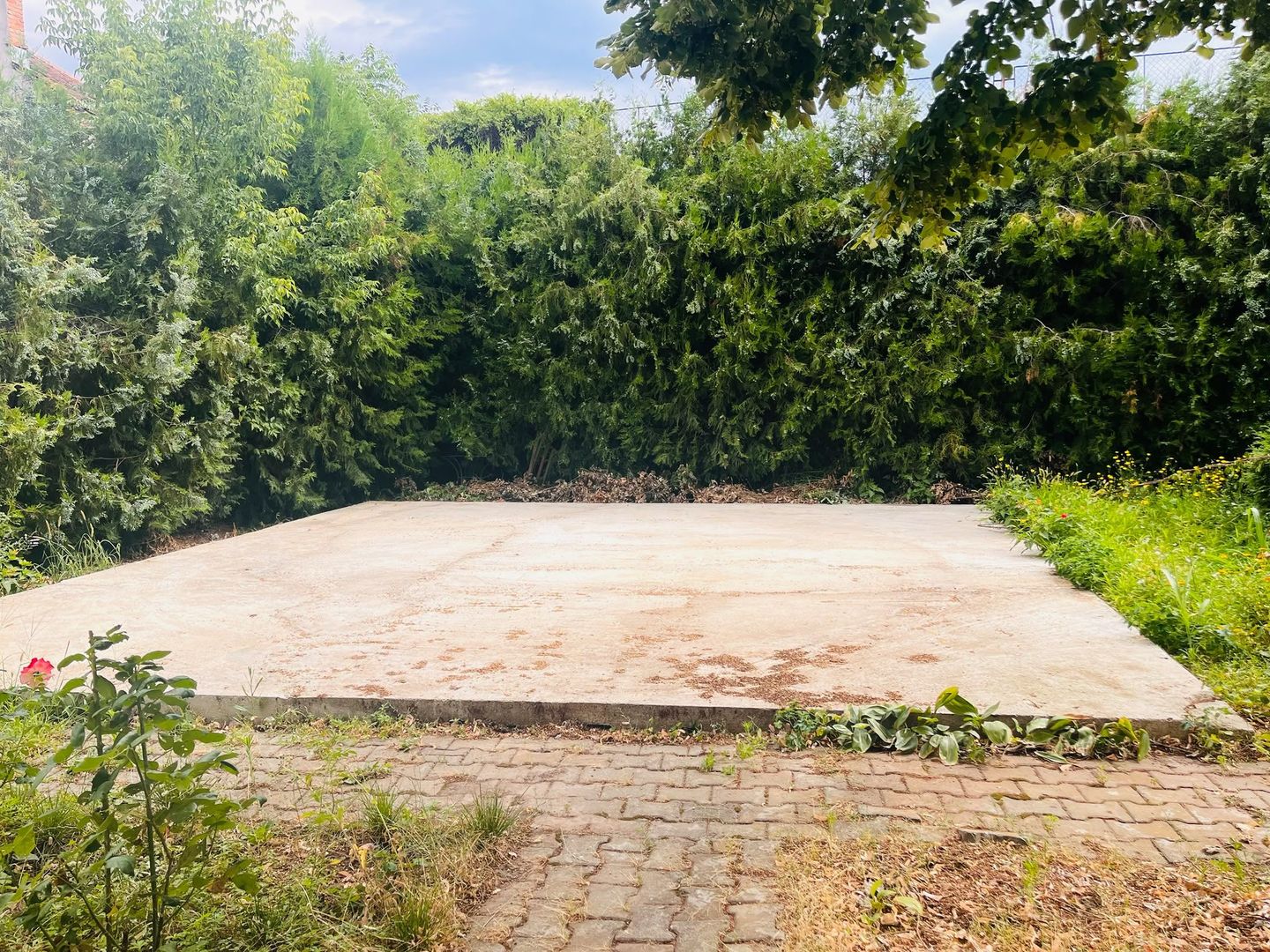 Oaza de liniste si verdeata, aproape de Km 0 -  Brestei, zona Obedeanu - Poză 8