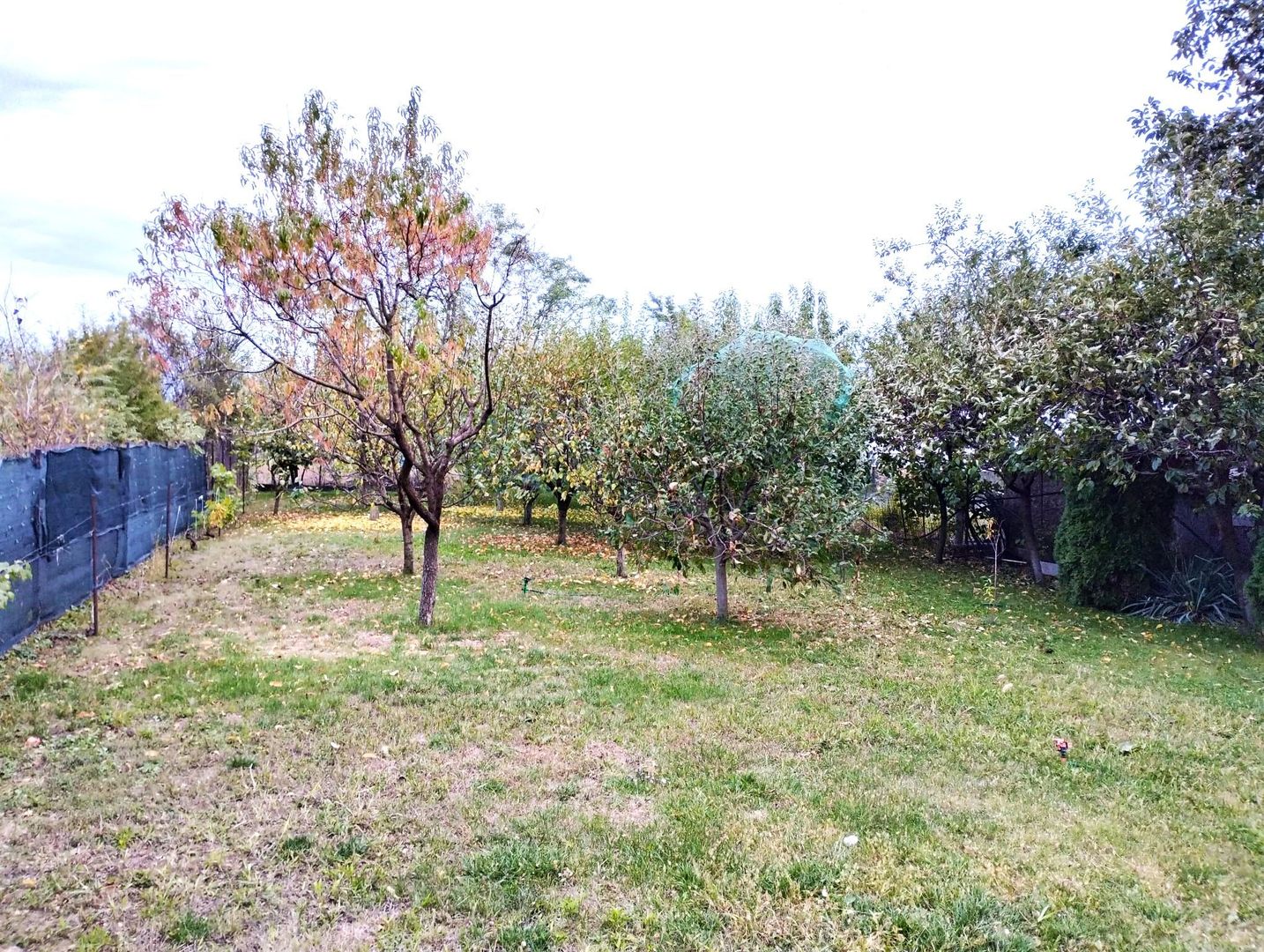 Vilă individuală 6 camere, teren 903 mp ! - Poză 2