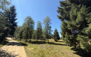 SUPER OCAZIE  - Teren intravilan, COMANDAU-PUZ case de vacanta. - Poză 9