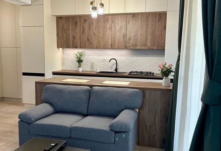 GARSONIERA GHICA APARTMENTS - CURTE PROPRIE 16 MP, PET FRIENDLY - Poză 4