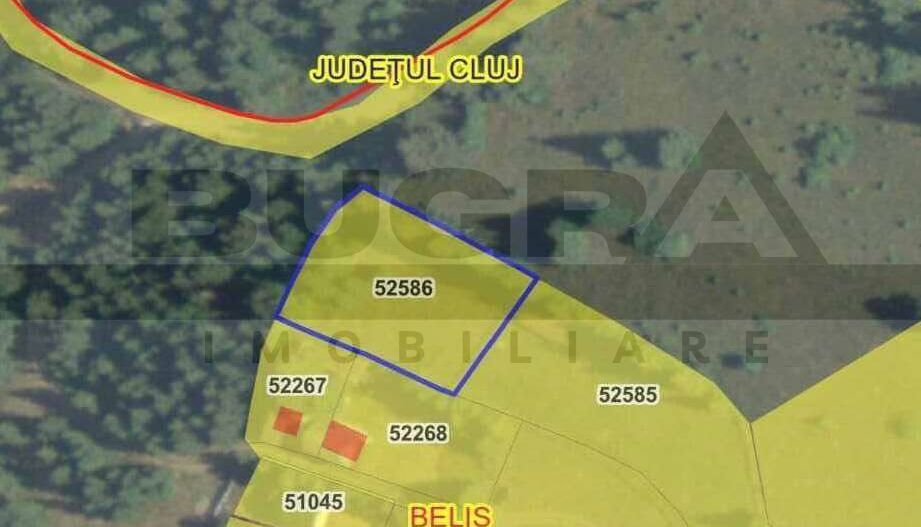 Teren intravilan, 1400 mp, Balcesti, Belis - Poză 4