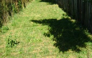 Teren  de vanzare Cornu 1919 mp - Poză 7