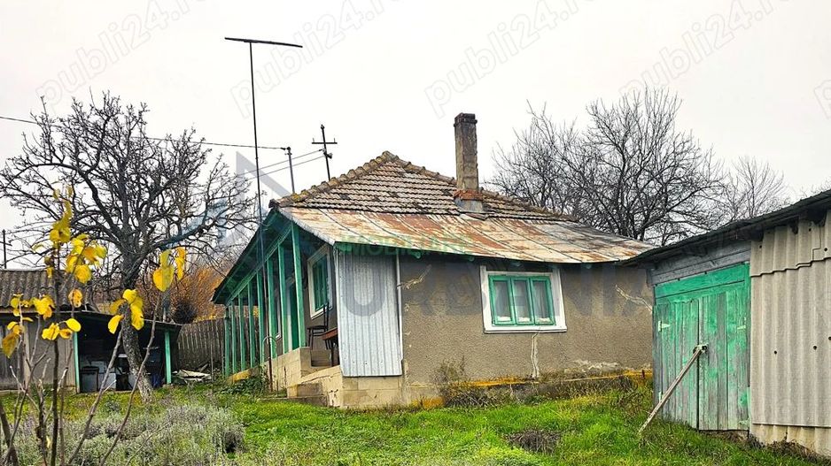 Casa + teren generos 5000 mp intravilan cu livada tanara si vita de vie productiva. - Poză 2