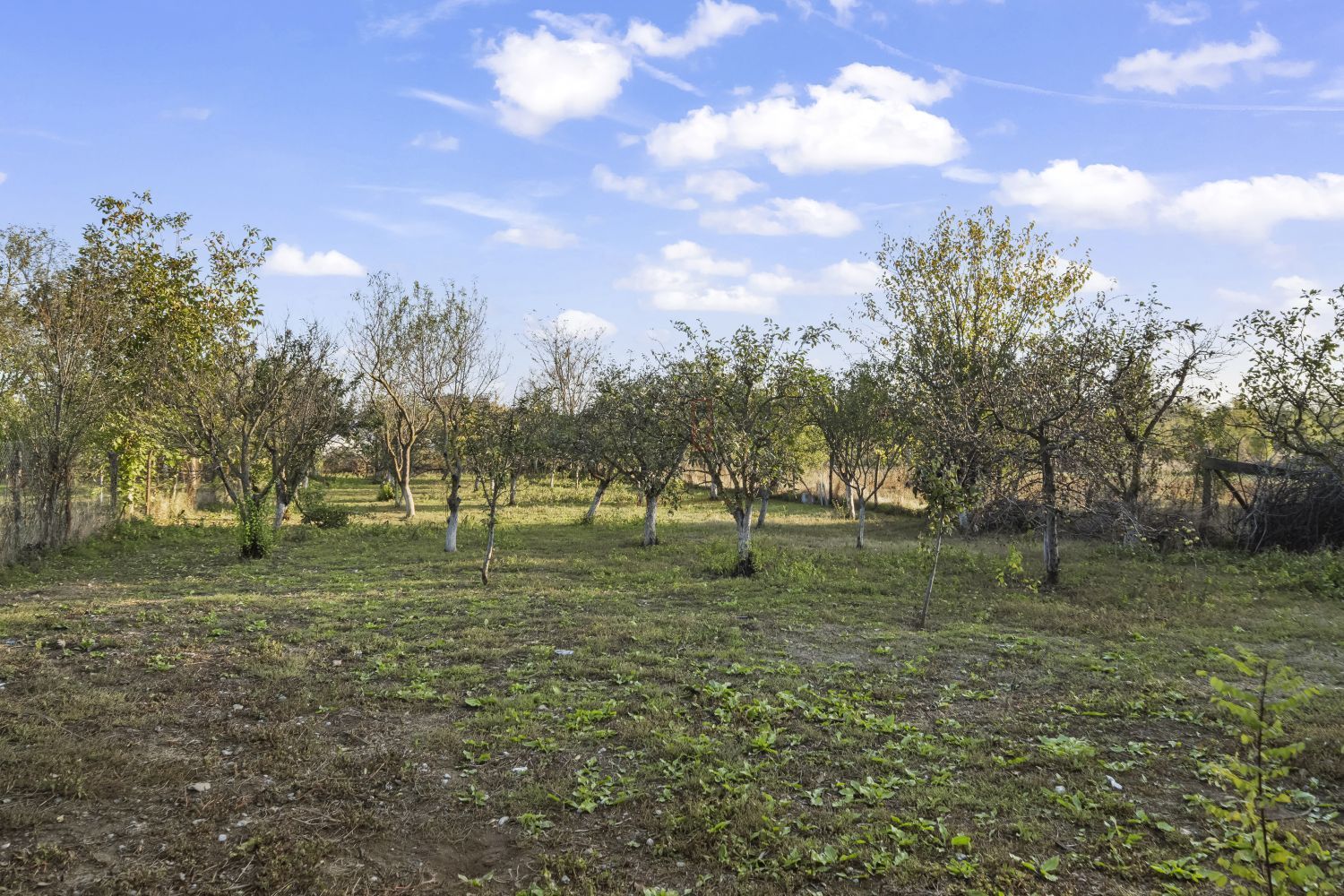 COMISION 0% | 2 Case cu Spatiu Comercial | Teren 1019mp | 540 eur/mp - Poză 38