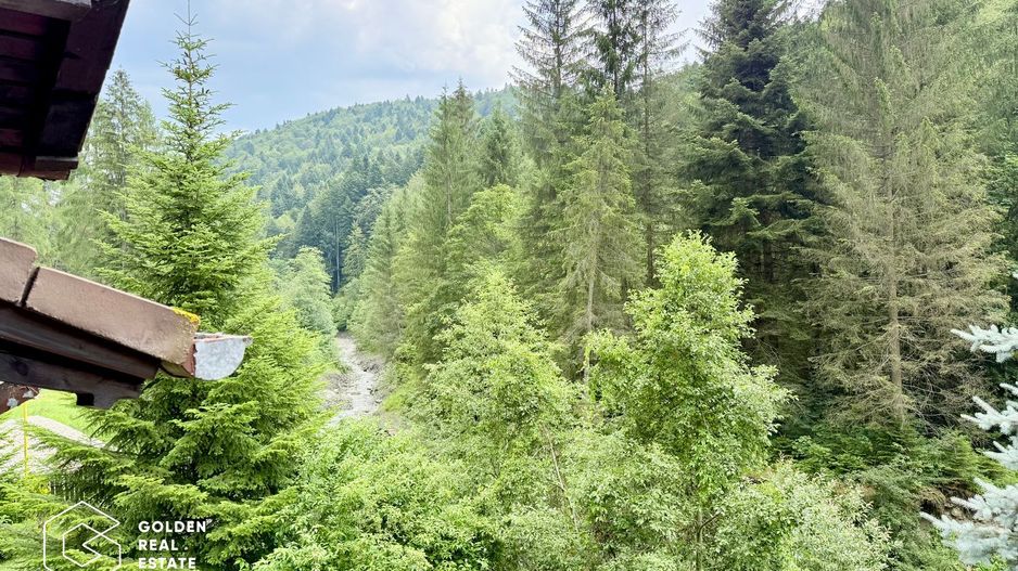 Vila de exceptie in Sinaia, mobilata, utilata, cu vedere superba - Poză 27