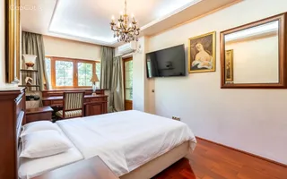 Casa/Vila Premium de vanzare Lacul Snagov / ponton / piscina / barca - Poză 13