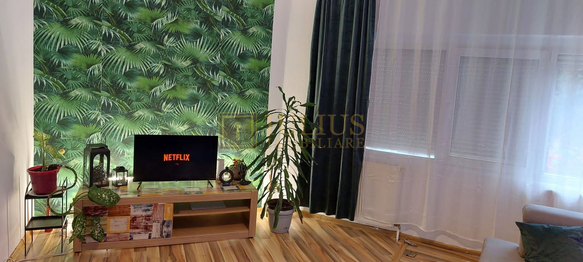 Parter inalt,  centrală proprie- in spate la Hotel Strelitia - Poză 4