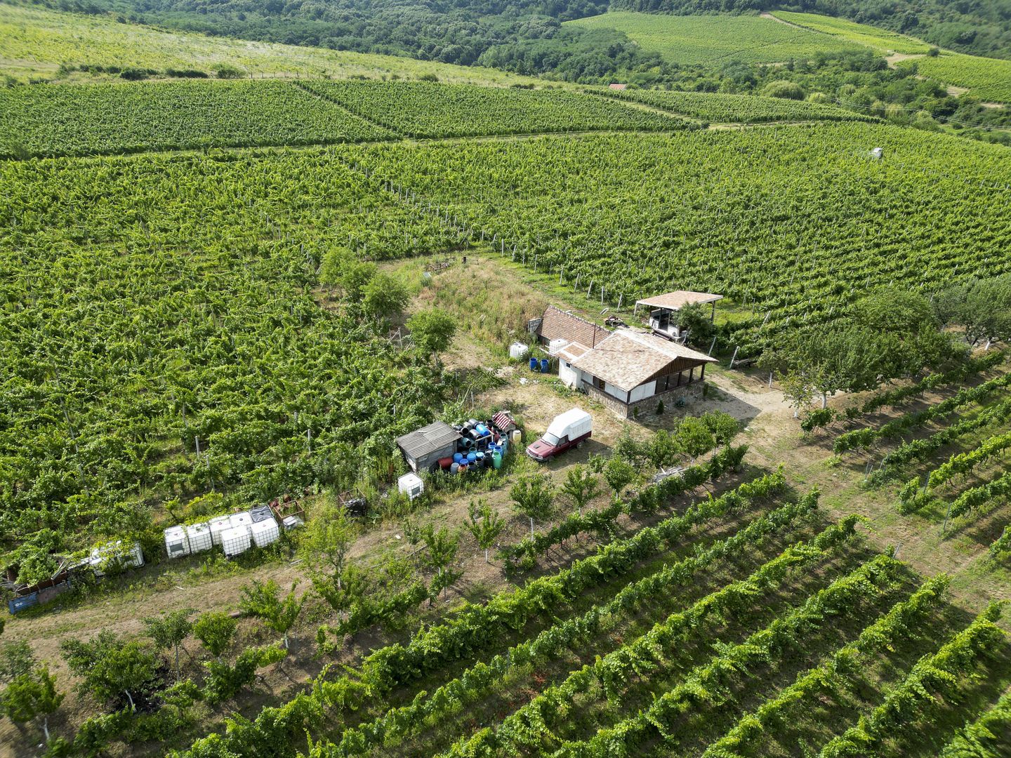 Vie Tradițională „Halta Lupilor” - Poză 45