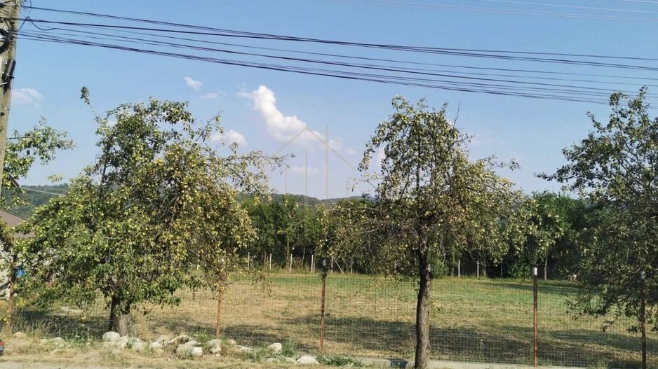 Teren de vanzare - Lupesti, com. Mănăstirea Cașin - Poză 1