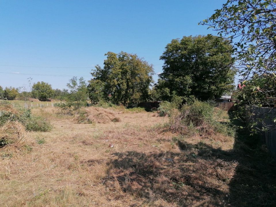 Vanzare teren intravilan, Calea Campulung, zona Cora - Poză 3