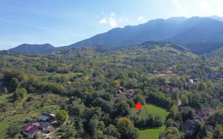Teren intravilan 1300 mp | Vedere Piatra Craiului | Bran Poarta - Poză 5