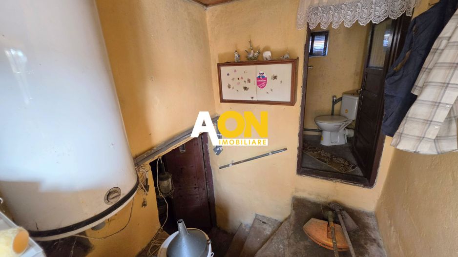 Casa traditionala, 3 camere, la asfalt, 1685 mp teren, Ciugud - Poză 13