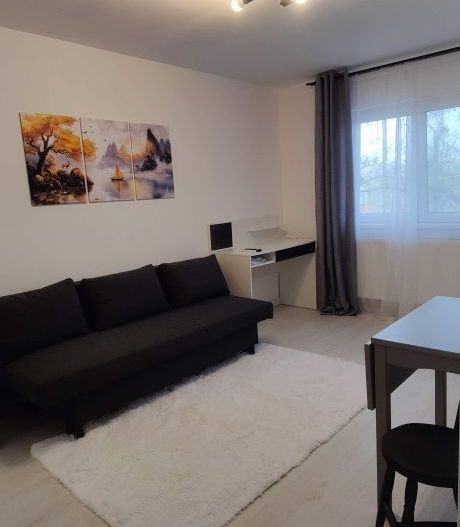 Dambovita | 1 Camera | Etaj Intermediar. - Poză 2