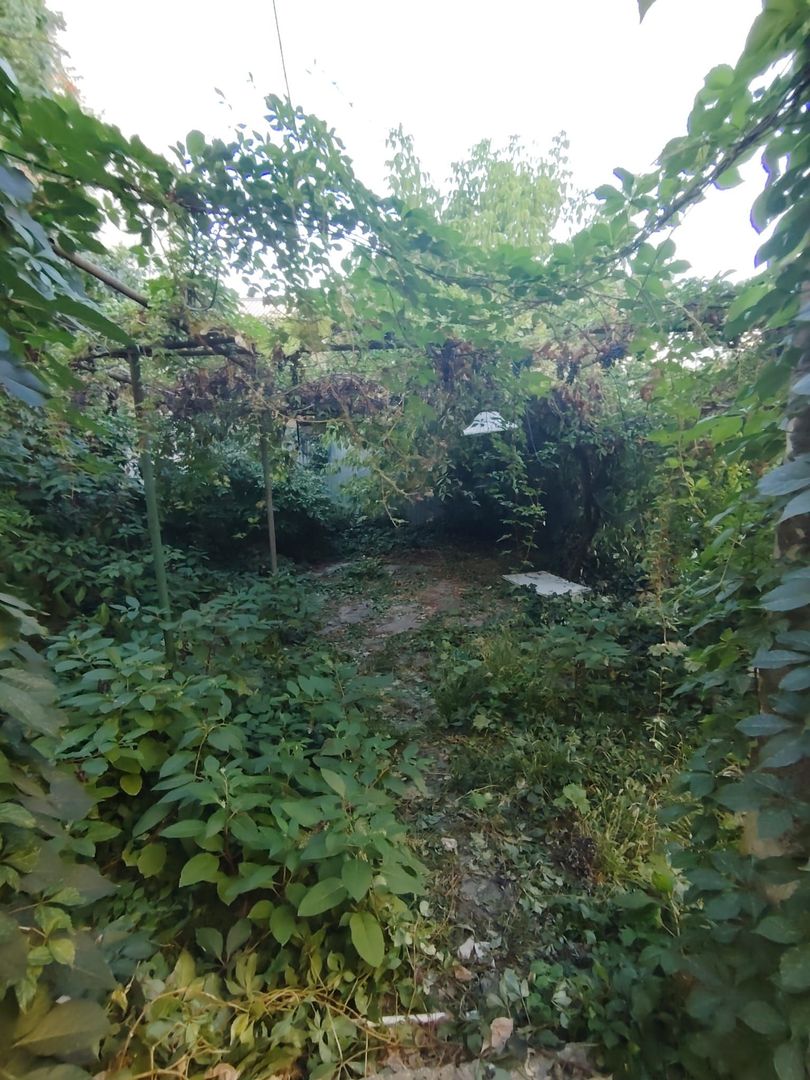 Casa-Curte proprie | Plantelor | - Poză 15