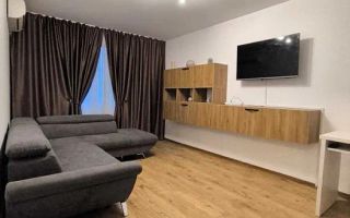 Apartament de inchiriat 2 camere zona 1 Decembrie - Poză 1