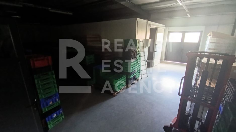 Spațiu comercial, producere+plantație de aronie, Timiș - Poză 9