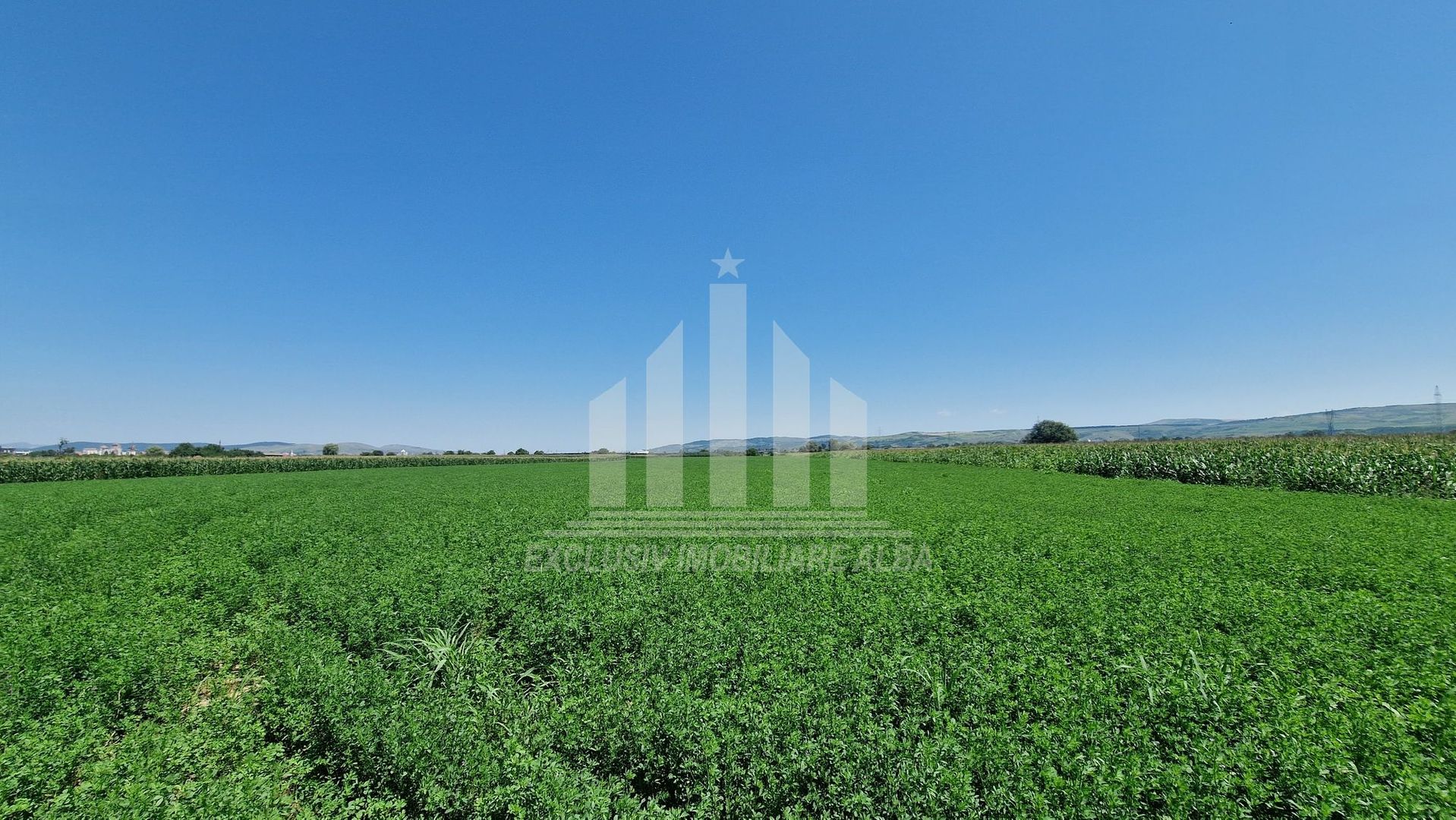 20 de parcele pentru constructii langa soseaua de centura - Poză 2