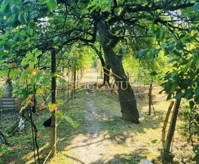 BG131-Teren: 2.822 mp pentru Proiect Imobiliar Premium COMISION 0% - Poză 3