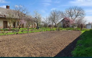 Vand casa in Com.Petresti, ultracentral, 42 ari teren - Poză 5