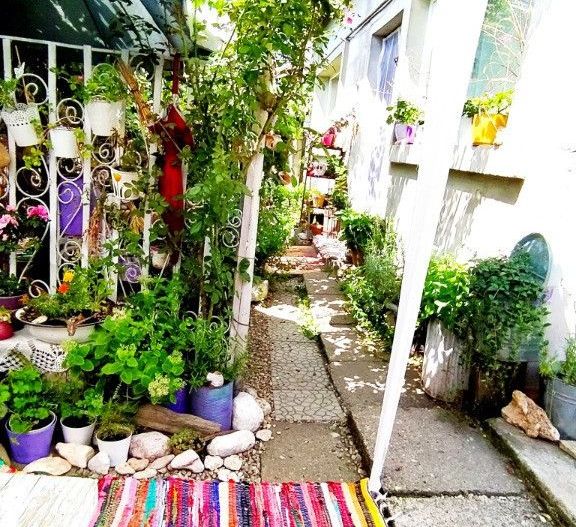 Casa la curte 3 camere, teren total 250 mp, zona Mihai Bravu - Poză 4