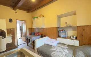 Casă 3 camere, Teren 3.263 mp, Str.Mărășești Nr.16 -Carei-Comision 0% cumpărător - Poză 14