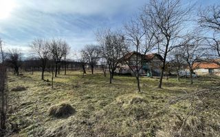 Teren autorizabil la preț foarte bun Chinteni - Poză 2