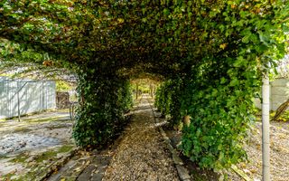 Vilă 5 camere Grădiște | 2 corpuri | 0% comision. Preț negociabil! - Poză 4