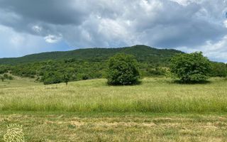 Teren 7200 mp-investitie-Sieu Magherus la 16 km de Bistrita - Poză 7