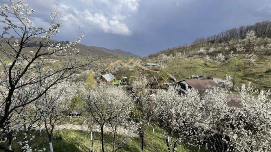 Casa de vacanta**Panorama spectaculoasa//Provita de Jos_Prahova - Poză 5