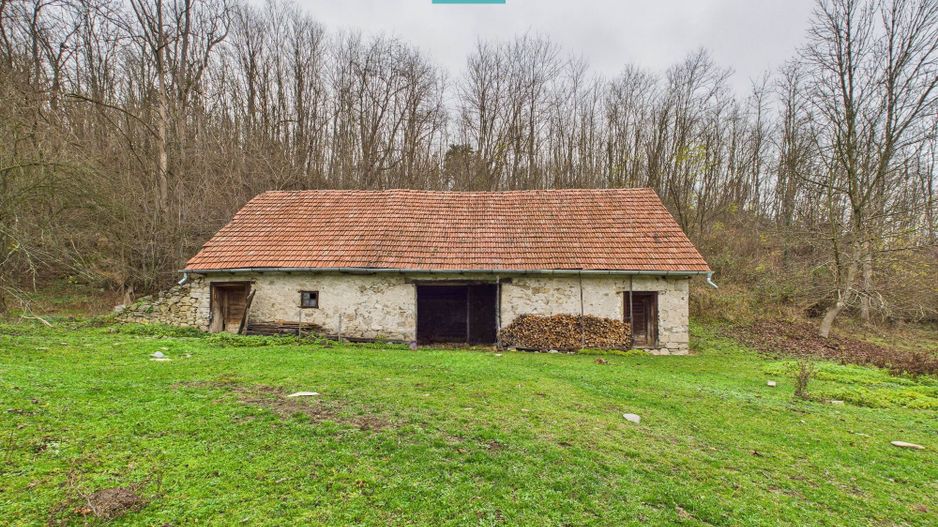 Casă cu teren de 24.679,73 mp, în Hălmagiu, Arad - Poză 12