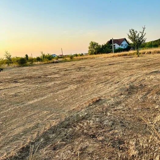 Teren de vanzare in Petresti - Poză 2