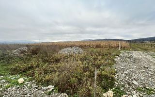 Teren intravilan | 860 mp | Deschidere 16 m | Priveliște montană | Bradu - Poză 6