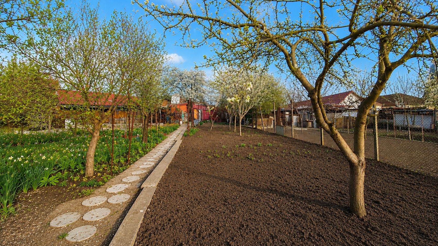 Casă individuală, teren generos de 1.348mp, poziție centrală, Giarmata - Poză 10