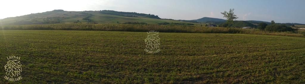 Teren 5500 mp-oportunitate investitie-pretabil cabana-Jelna - Poză 1