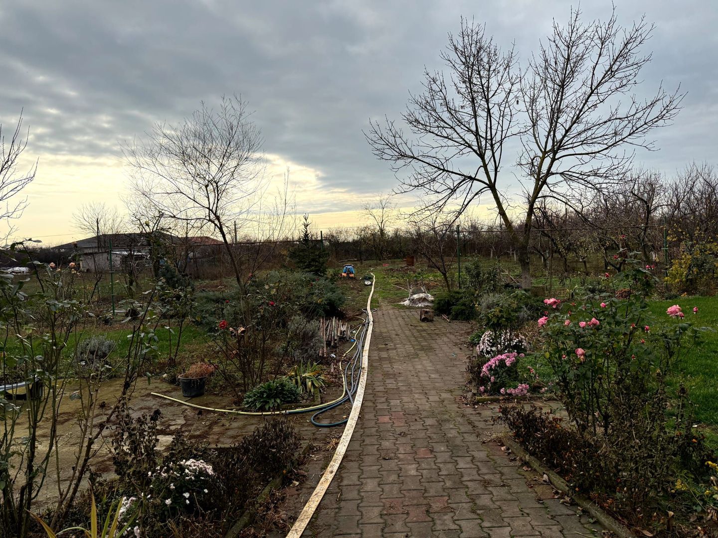 Proprietate impresionanta de vanzare cu mult teren in Santandrei - Poză 28