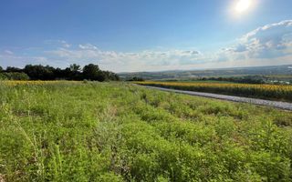 Teren intravilan ,Barnova ,Iași, 834 mp, priveliste panoramica deosebita,langa padure! - Poză 2
