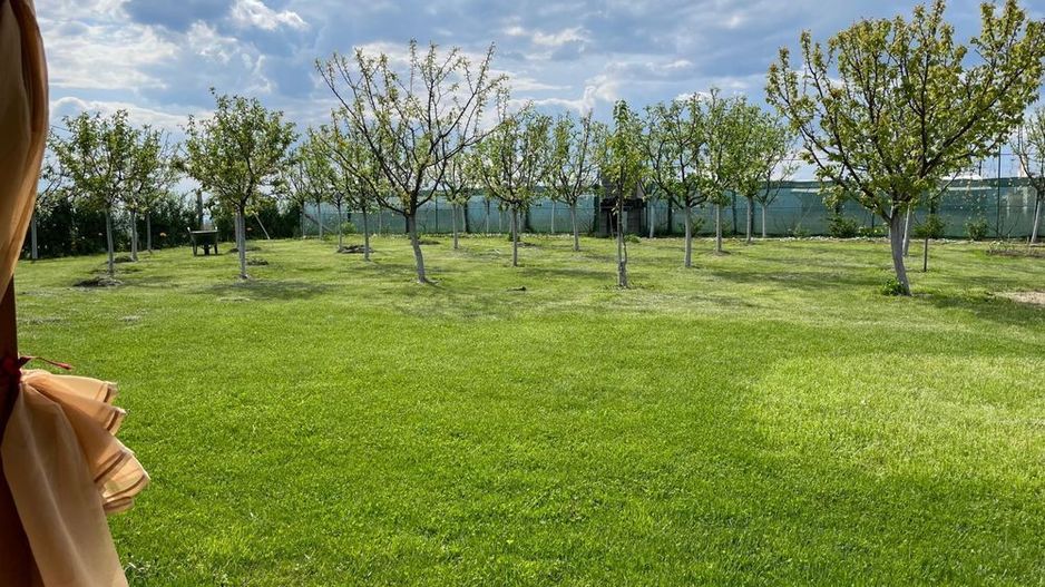 Cabana de lemn, 2 camere, teren 850 mp, livada, Oarda, Alba Iulia - Poză 4