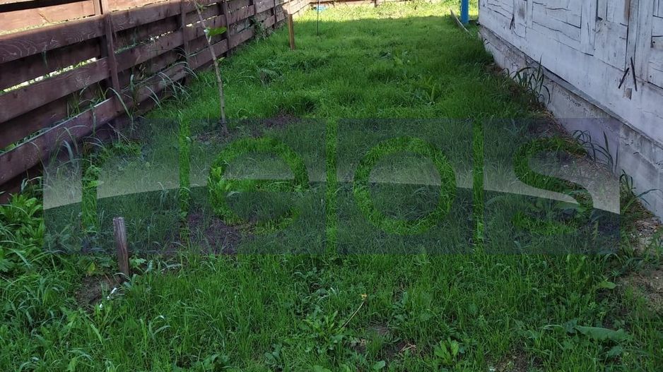 VANZARE CASA LEMN I 4 CAMERE I OCAZIE I STRADA PARAULUI I MAGURELE - Poză 7