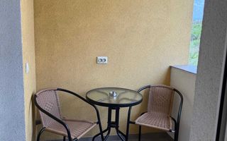 Apartament decomandat, 1 cameră, 40 mp, Bucium, str. Vișan – de închiriat - Poză 3