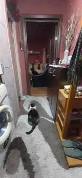 Ag EUROPA vinde ap 2 cam 48mp la etajul 4 în zona 14 Mai. - Poză 2