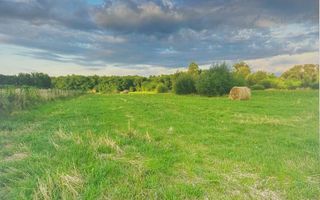 TEREN INTRAVILAN CU PUZ\ 704 MP\CARANSEBEȘ\ ZONA TEIUȘ - Poză 1