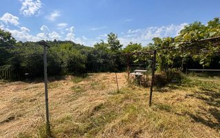Casă bătrânească cu teren de 3.200 mp în Hertioana de Jos, jud.Bacău - Poză 18