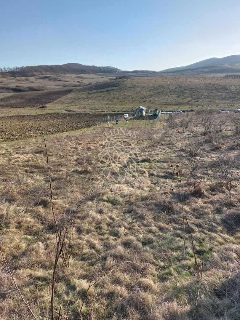 Teren 2100 mp in Zona Valea Stanelor - Poză 2
