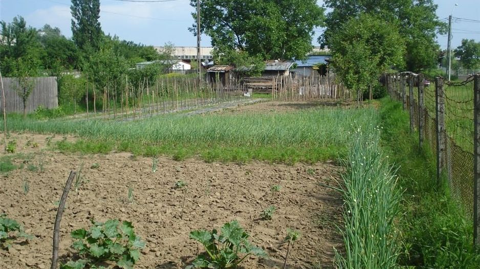 AZURA Imobiliare - Teren Auchan Gavana si Casa Bonus - Poză 7