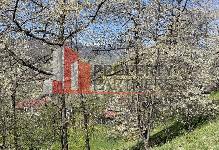 Teren 2500 mp Sohodol - Poză 14