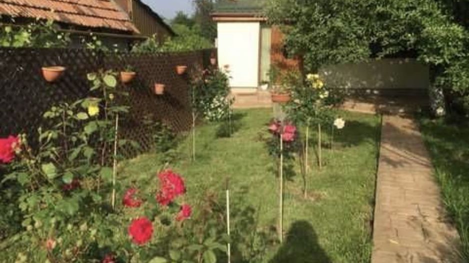 Casa la cheie 4 camere Carei gradina viilor - Poză 3
