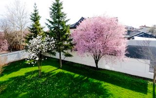 Rent | Individual Villa 7 Rooms 390sqm | Total Privacy | Pipera - Poză 3