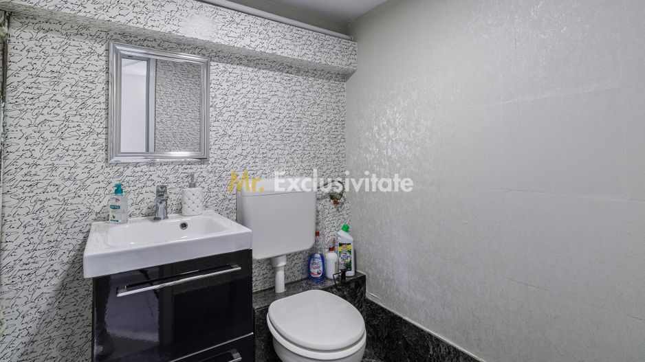Spatiu Comercial Gorjului-Timisoara - Poză 2