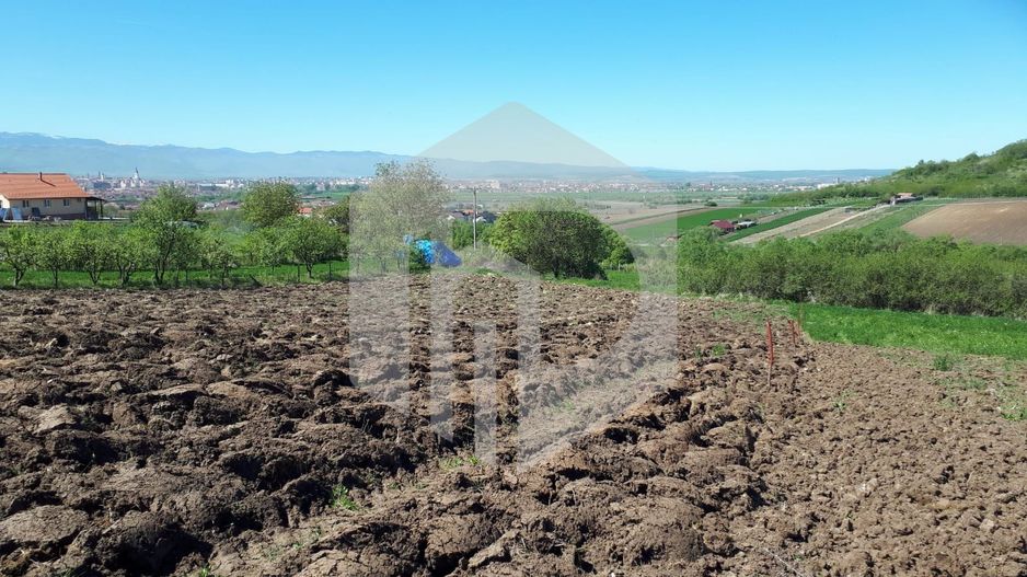 Teren de Vanzare - Gusterita - 5100mp - Intravilan - 0% Comision - Poză 3