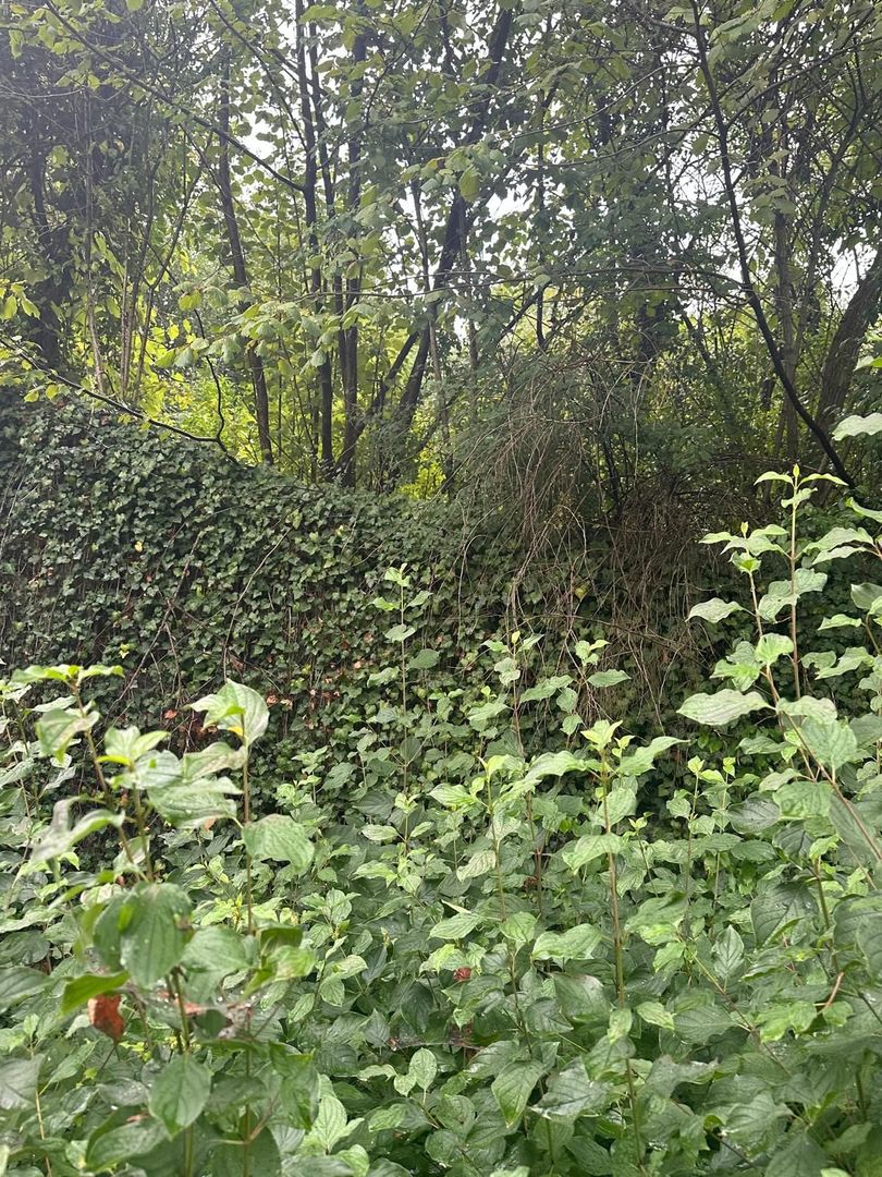 De vanzare teren cu casa de renovat Dej central - Poză 3